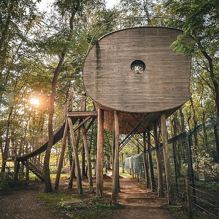 Tree Inn - Das Baumhaushotel Dörverden 외부 사진