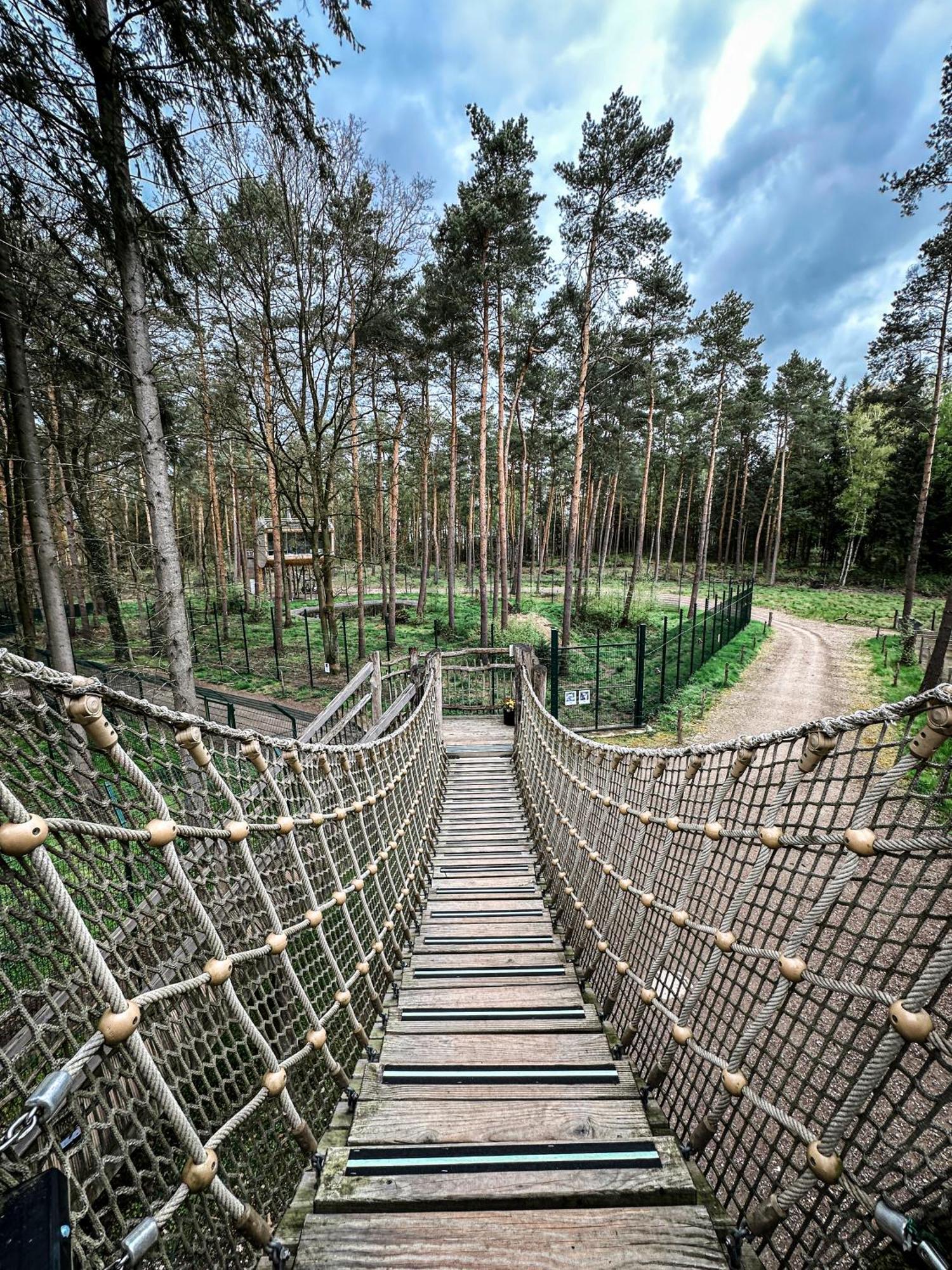 Tree Inn - Das Baumhaushotel Dörverden 외부 사진