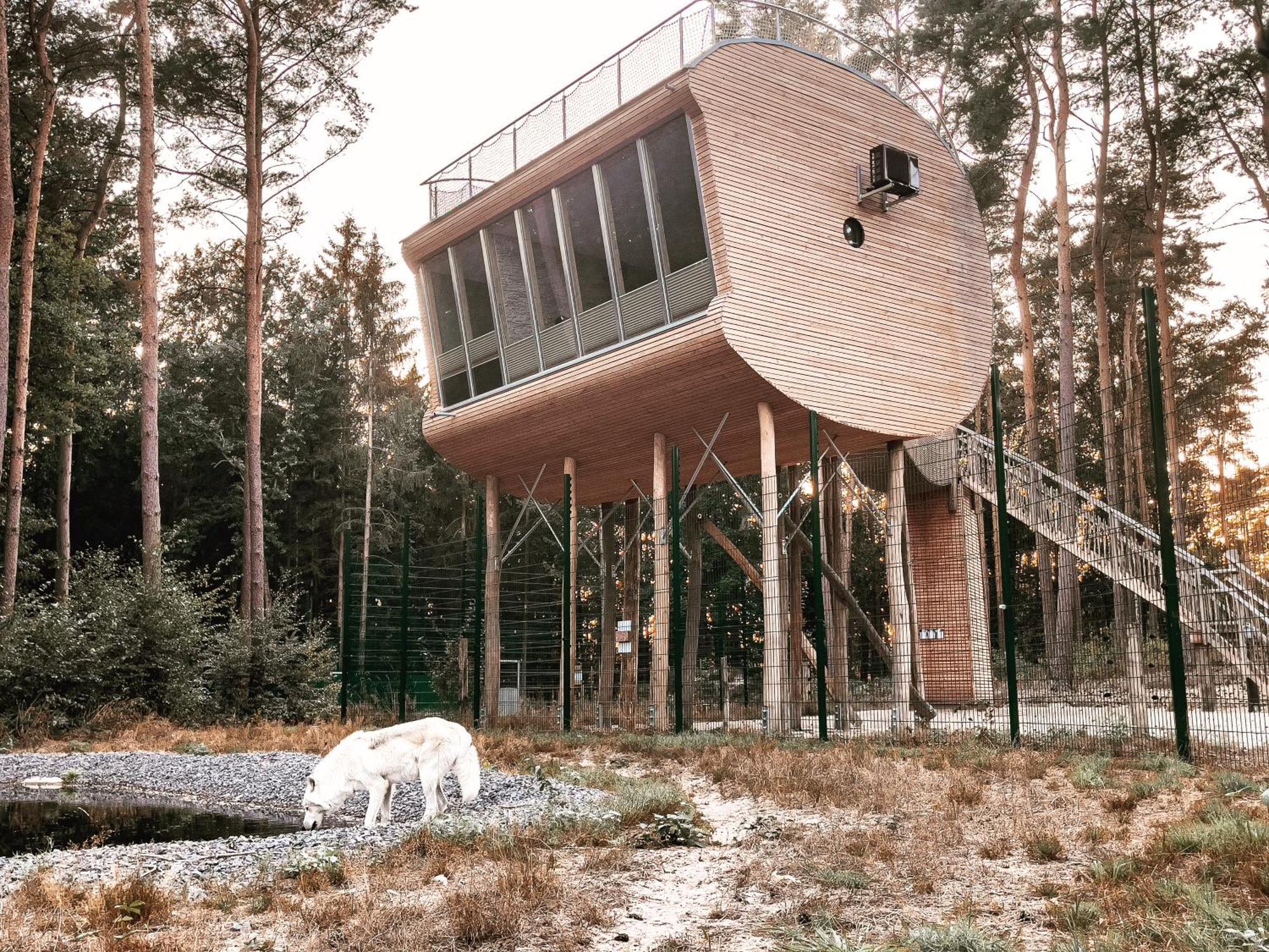 Tree Inn - Das Baumhaushotel Dörverden 외부 사진