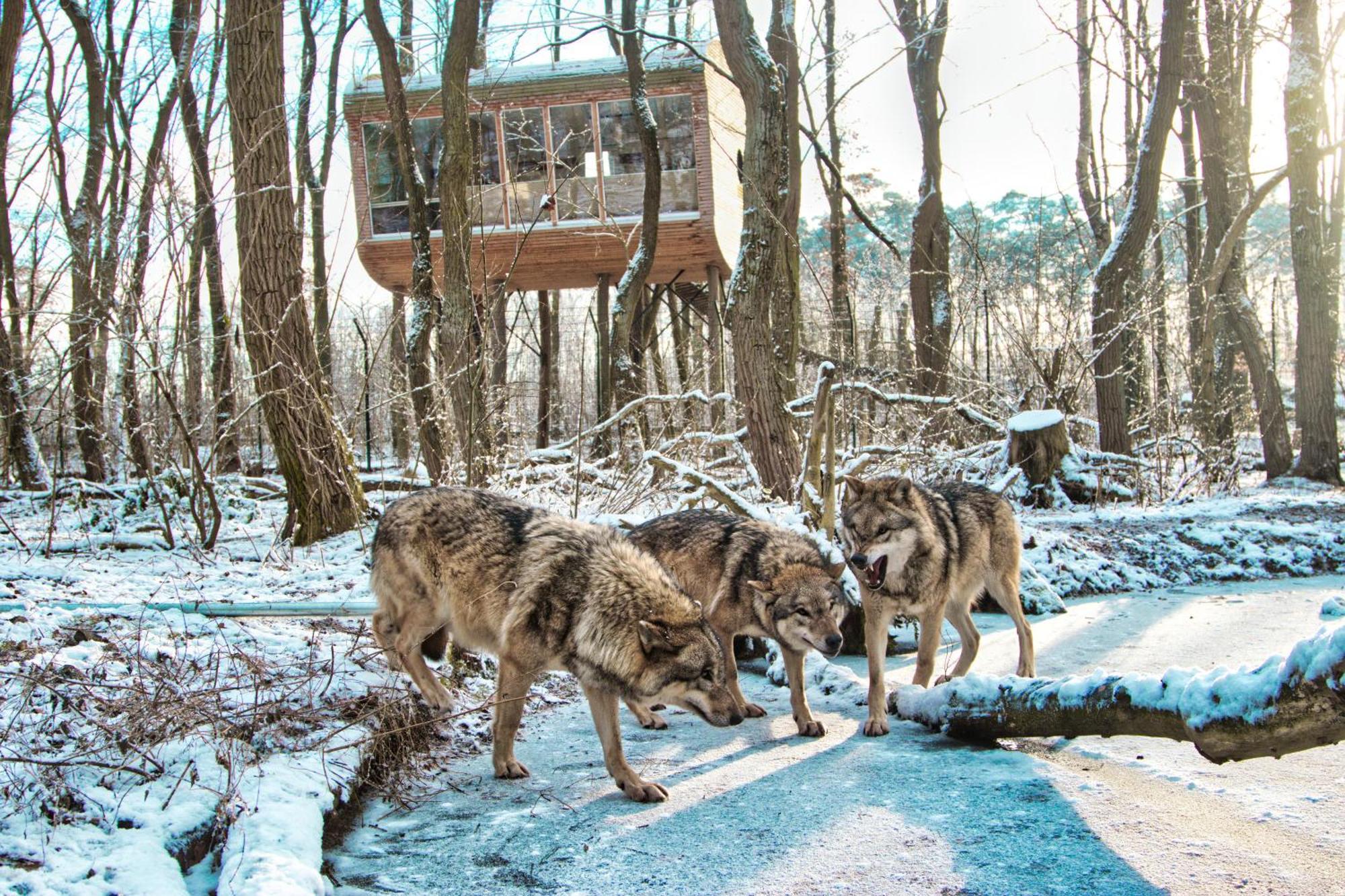 Tree Inn - Das Baumhaushotel Dörverden 외부 사진